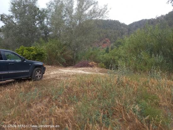 OPORTUNIDAD FINCA DE REGADIO EN MIRAVET CON ACCESO DIRECTO AL RIO EBRO. - TARRAGONA