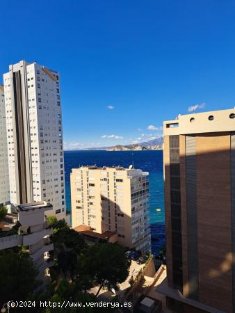 Reformado apartamento con 2 dormitorios y vistas al mar, cerca de playa Levante. - ALICANTE