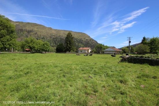 Terreno urbano en Ruente - CANTABRIA