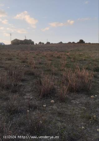 TERRENO RÚSTICO EN  ZONA DE RANCHO PEÑA - CADIZ