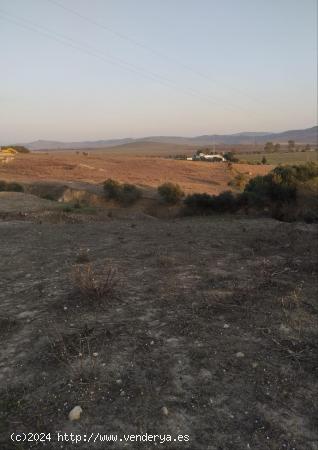 TERRENO RÚSTICO EN  ZONA DE RANCHO PEÑA - CADIZ