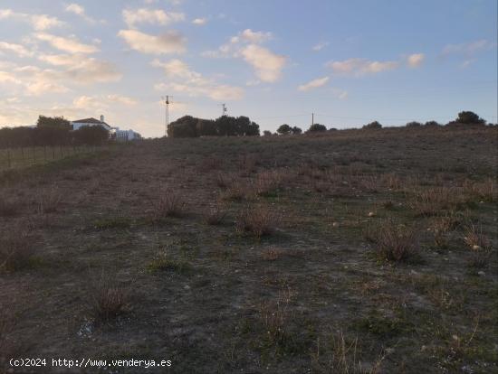 TERRENO RÚSTICO EN  ZONA DE RANCHO PEÑA - CADIZ