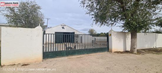 FINCA RÚSTICA EN VENTA EN ARGANDA DEL REY - MADRID