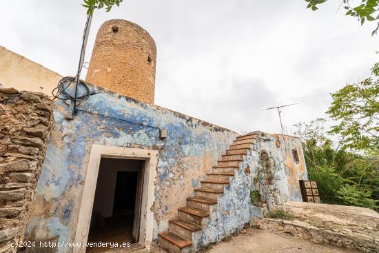  MOLINO CON TERRENO - BALEARES 