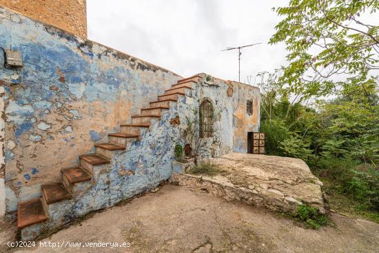 MOLINO CON TERRENO - BALEARES