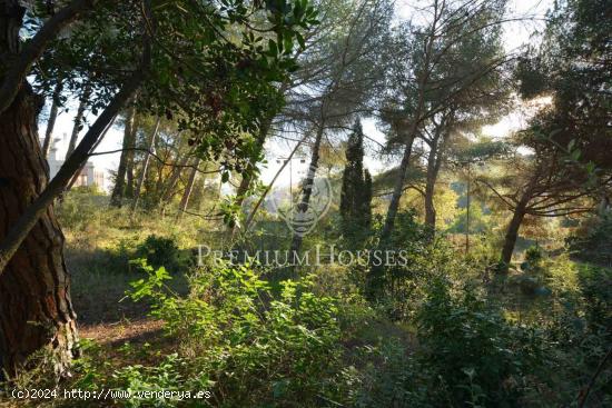 Terreno en el centro de Alella - Costa Bcn - BARCELONA