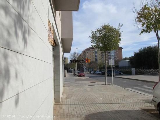 LOCAL COMERCIAL CHAFLÁN DIÁFANO EN ALQUILER - VALENCIA