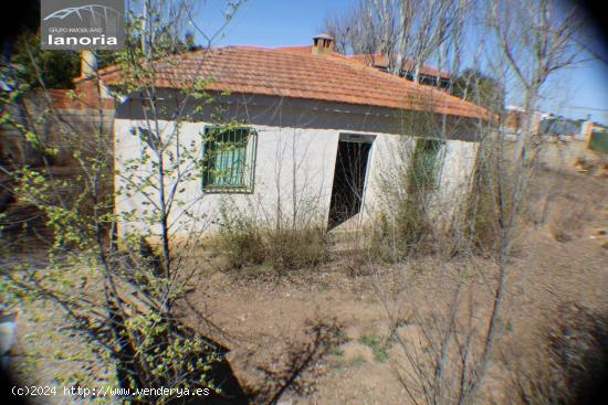  GRUPO LA NORIA VENDE PARCELA CERCA DE ALBACETE LEGALIZADA CON AGUA, LUZ, - ALBACETE 