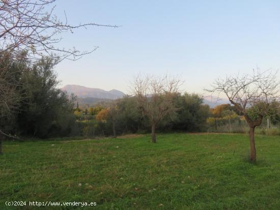 Finca rústica en venta en Selva - BALEARES