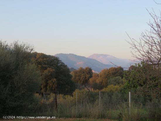 Finca rústica en venta en Selva - BALEARES