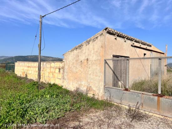  Finca rústica en Sa Pobla - BALEARES 