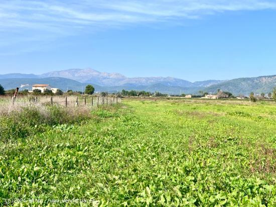 Finca rústica en Sa Pobla - BALEARES