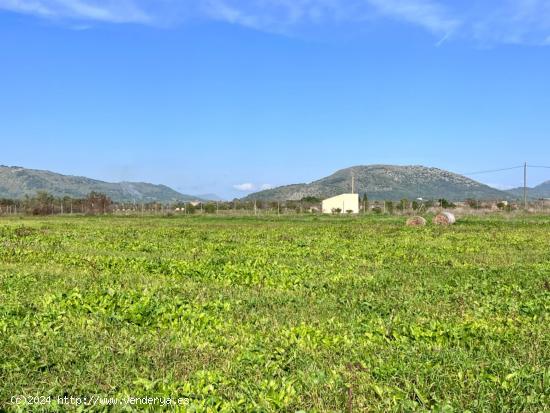 Finca rústica en Sa Pobla - BALEARES