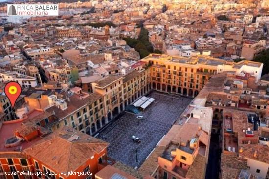 PRIMER PISO EN EL CASCO ANTIGUO DE PALMA JUNTO A CORT-PLAZA MAYOR - BALEARES