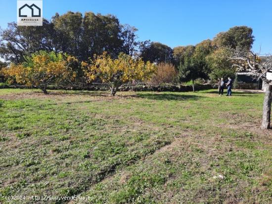 APIHOUSE VENDE TERRENO RUSTICO EN CANDELEDA. PRECIO DE VENTA 85.000€ - AVILA