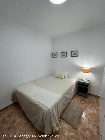 SE ALQUILA HABITACIÓN PARA UNA PERSONA - VALENCIA