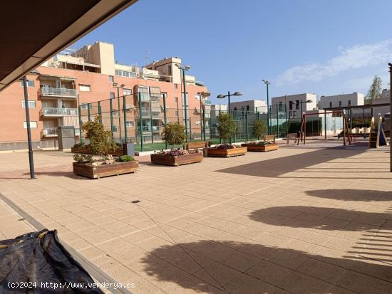 Apartamento de 1 habitación junto a la universidad! - ALICANTE