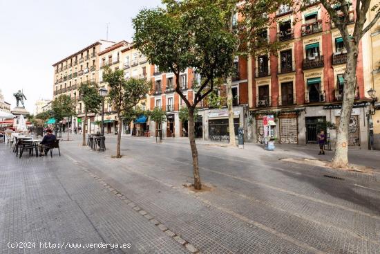 trastero grande en plaza de cascorro - MADRID