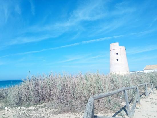 Se Vende en Vejer de la Frontera - CADIZ