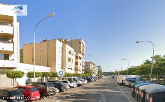 VENTA PISO EN PALMA DE MALLORCA (ISLAS BALEARES) - BALEARES