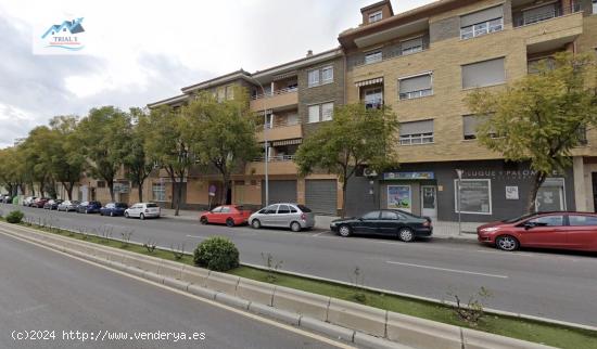 Venta piso en Linares (Jaén) - JAEN