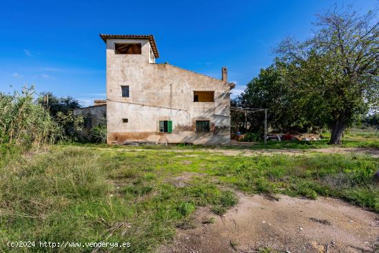 MASIA EN SON FERRIOL - BALEARES