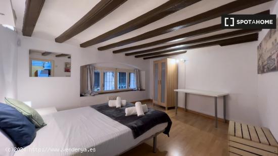 Apartamento de 1 dormitorio en alquiler en El Raval - BARCELONA