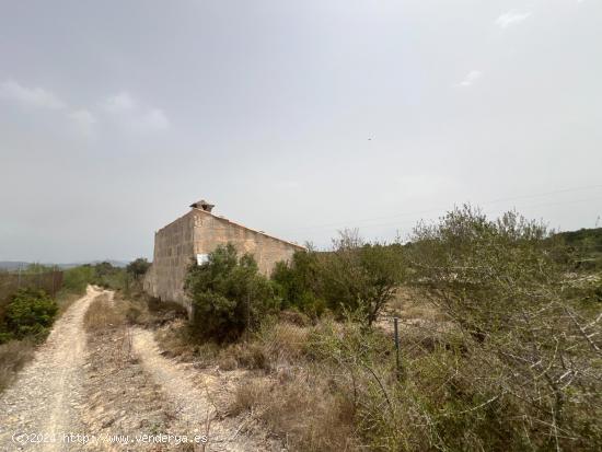 TERRENO EN VENTA EN MURO - BALEARES