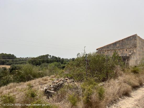 TERRENO EN VENTA EN MURO - BALEARES