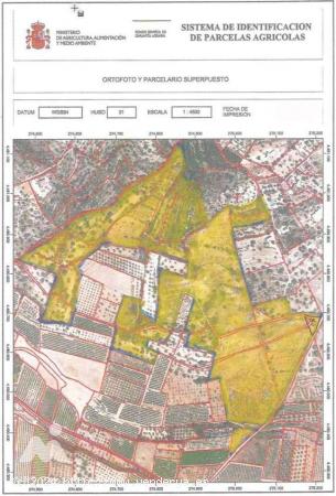  EN VENTA FINCA DE 218.000M² EN TERMINO DE CALIG (CASTELLON). - CASTELLON 