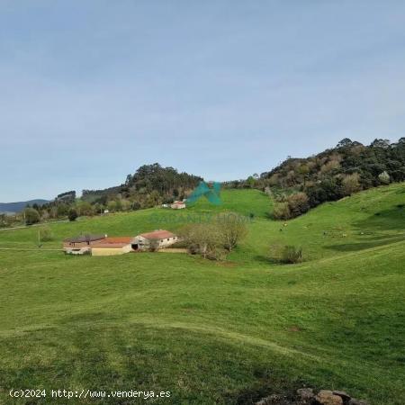  Se vende finca rústica en Hazas de Cesto - CANTABRIA 