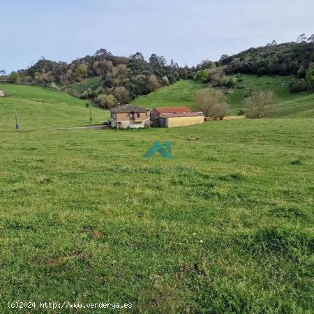 Se vende finca rústica en Hazas de Cesto - CANTABRIA