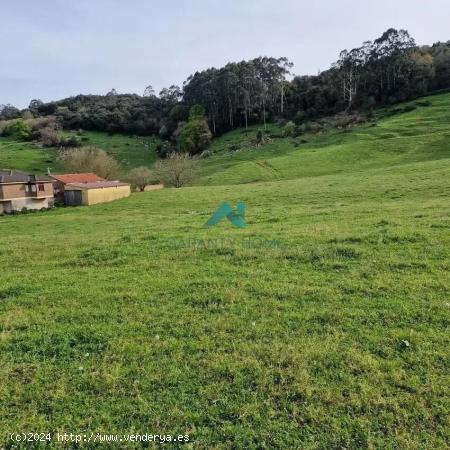 Se vende finca rústica en Hazas de Cesto - CANTABRIA