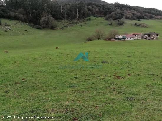 Se vende finca rústica en Hazas de Cesto - CANTABRIA