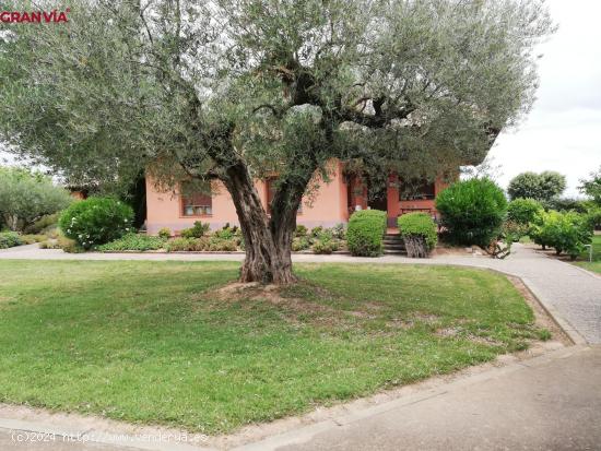 Finca rustica con vivienda y frutales en Albelda de Iregua - LA RIOJA