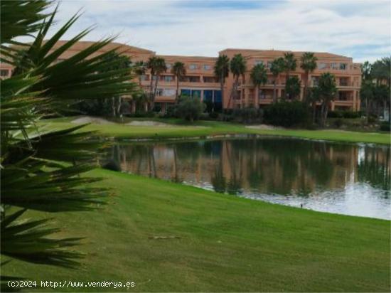 Estupendo chalet en la zona del Golf. - ALICANTE