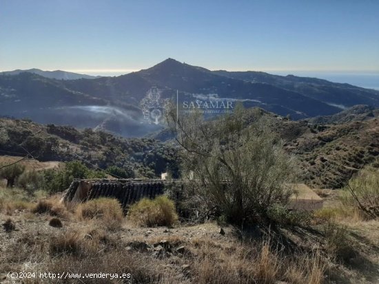  Finca en venta en Sayalonga (Málaga) 