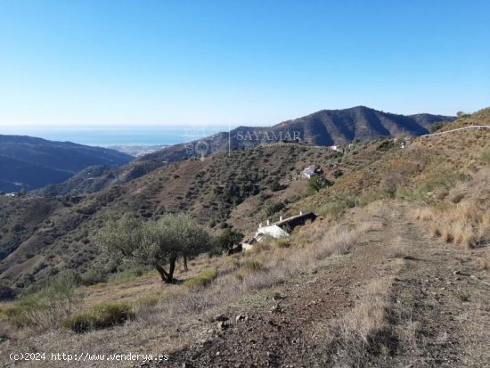 Finca en venta en Sayalonga (Málaga)