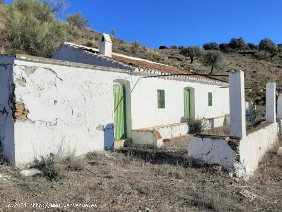 Finca en venta en Sayalonga (Málaga)