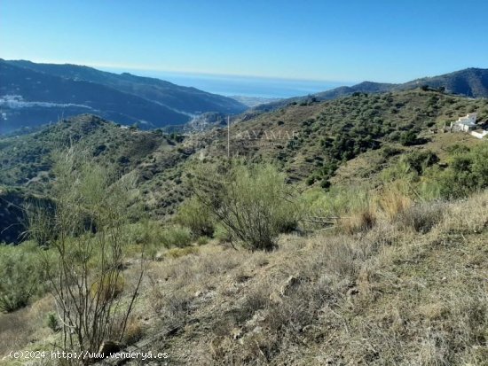 Finca en venta en Sayalonga (Málaga)