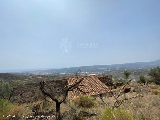  Finca en venta en Vélez-Málaga (Málaga) 