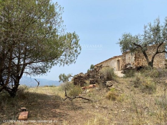 Finca en venta en Vélez-Málaga (Málaga)