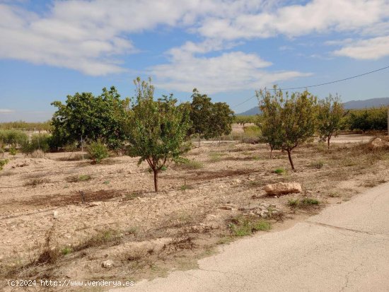 Parcela en venta en Pliego (Murcia)