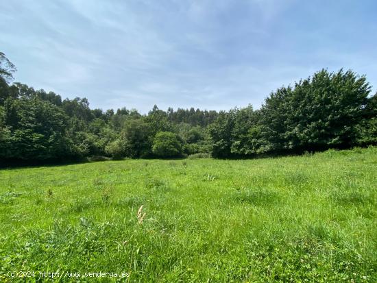 VENTA DE FINCA A 4 KM DE LA PLAYA DE SANTA MARINA - ASTURIAS