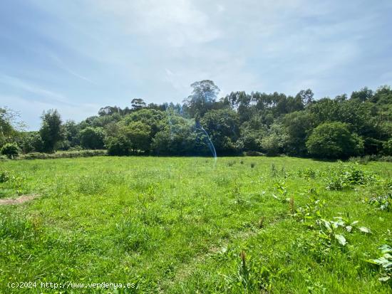 VENTA DE FINCA A 4 KM DE LA PLAYA DE SANTA MARINA - ASTURIAS