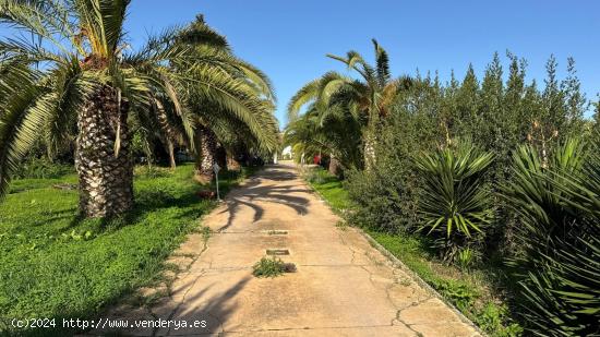 Chalet adosado de 2 dormitorios con piscina comunitaria en Establiments - BALEARES