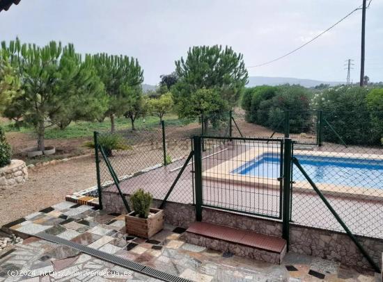  Finca rustica en venta Amposta - TARRAGONA 