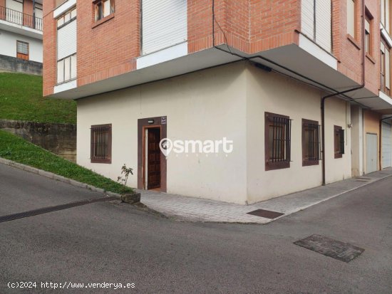  Piso en venta en Rasines (Cantabria) 