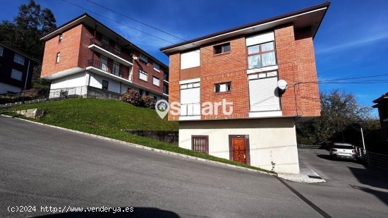 Piso en venta en Rasines (Cantabria)