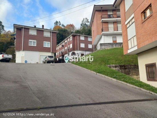 Piso en venta en Rasines (Cantabria)